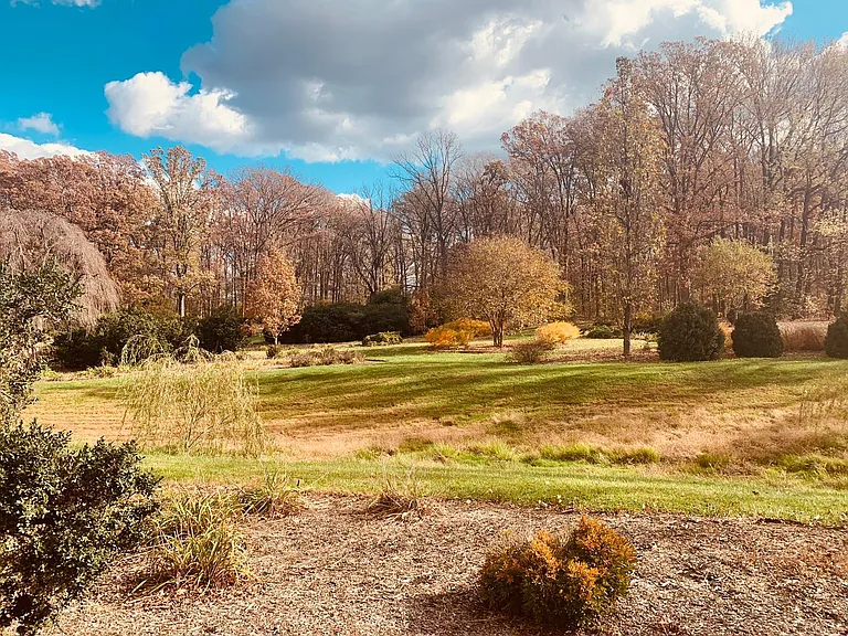 The best kept secret of DC - The National Arboretum is great for walks, runs, walking the dog or escaping the city.