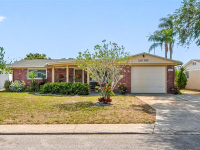 3530 Hoover Dr, Holiday, FL, 34691