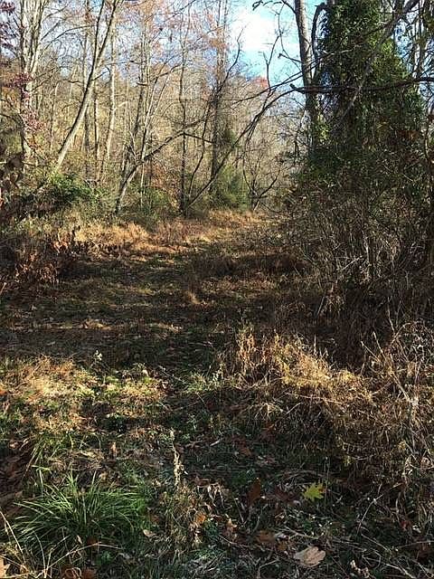 2nd image of 301 Butchers Ln