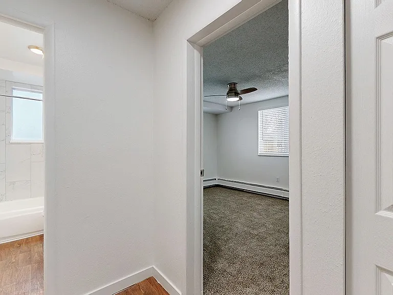 South Reed — Photo 34