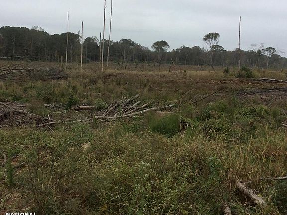 Looking North East Across the Property