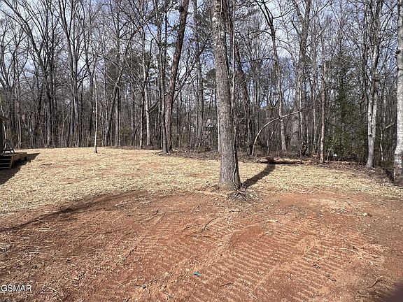 3rd image of 1404 Timber Trl