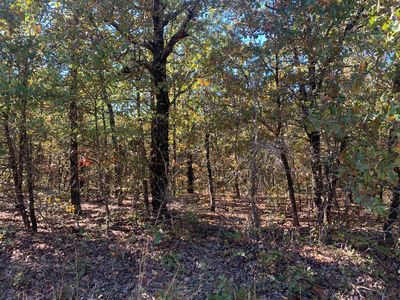 000 Nubbin Ridge Road, Ravenden, AR, 72459