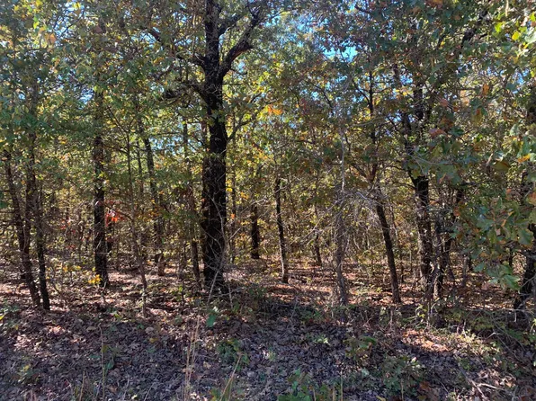 000 Nubbin Ridge Road, Ravenden, AR 72459