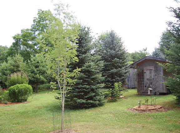 2nd image of 7012 State Highway 88 E