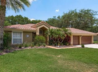 5099 Cross Pointe Dr, Oldsmar, FL 34677
