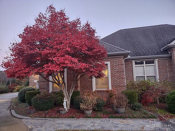 4th image of 6602 Mountain Ledge Dr SE