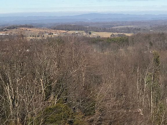 Lot of woodland and wildlife