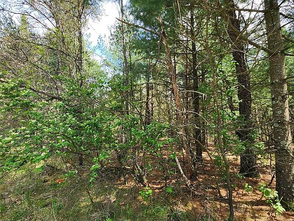 3rd image of LOT 303 Cypress Ave