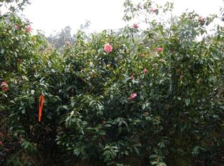 Kilauea Private Rd LOT F, Volcano, HI 96785