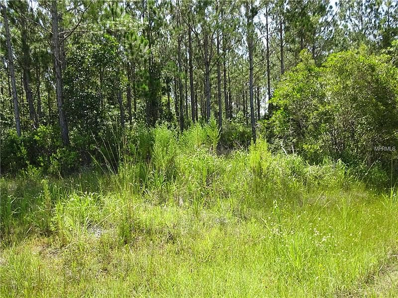 2nd image of 770 Old Bubbly Rd