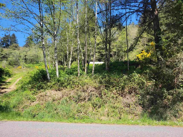 12295 Oceanview Dr, Smith River, CA 95567