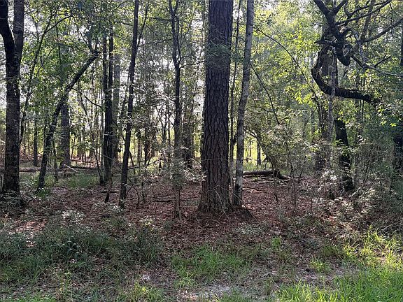 3rd image of LOT 11 Hackberry Dr