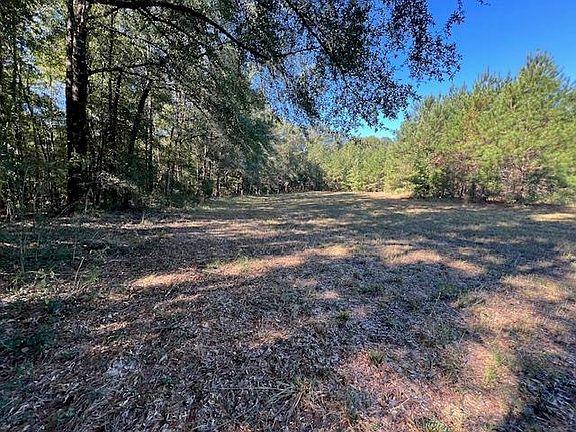 2nd image of 29 Ac Hwy #55