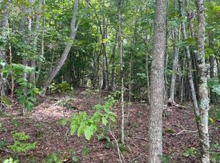 9 Wildwood Dr, Hayesville, NC 28904