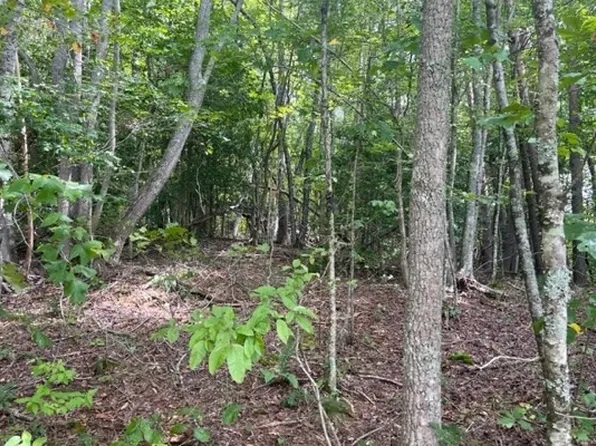 9 Wildwood Dr, Hayesville, NC 28904