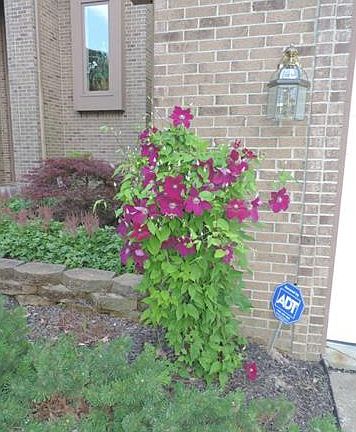 5th image of 30594 Knighton Dr