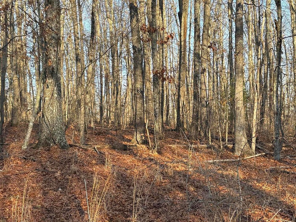 2nd image of 4030 Saponac Dr
