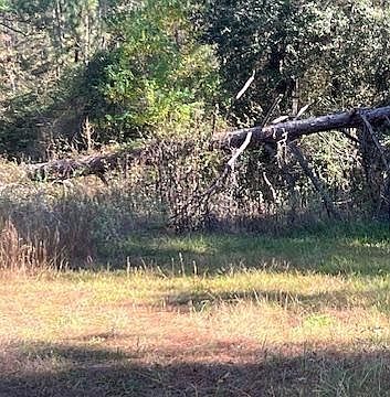 2nd image of Clark Rd Lot 27