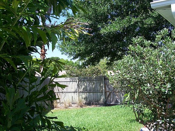 Back yard