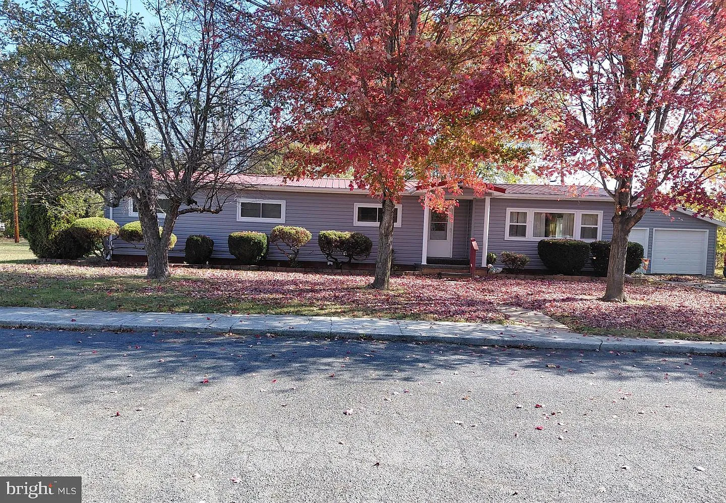 11 Trenton St photo 1