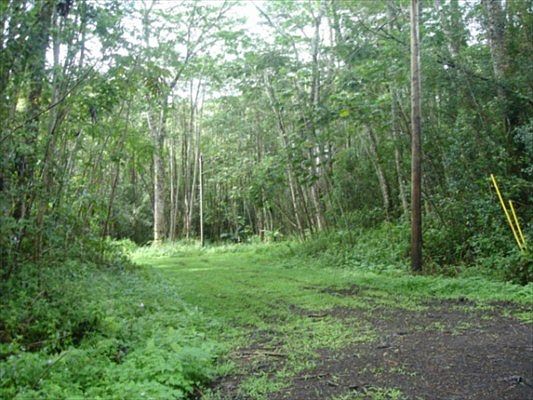 2nd image of Mauna Kea Cir Lot 452