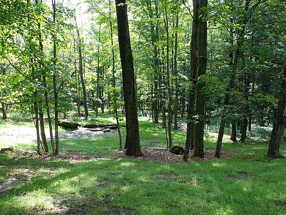 Looking West into property
