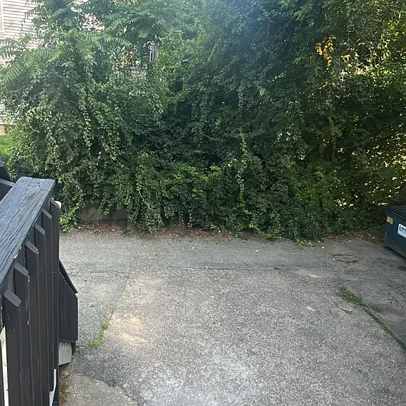 Anthony St — Photo 10
