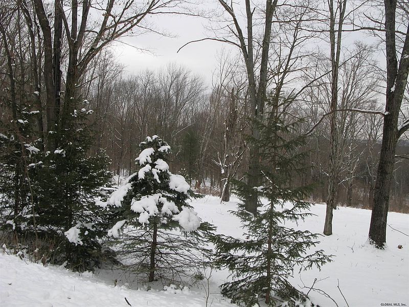 3rd image of 0 CHAPEL Road