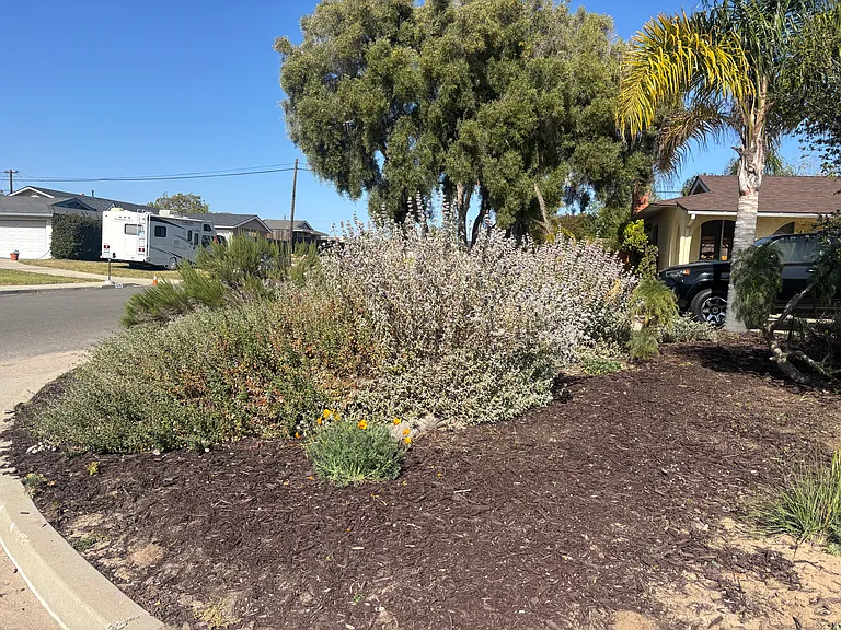 3708 Zion Pl #B — Photo 11