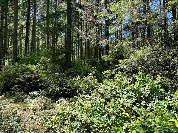 11402 Aqua Place, Anderson Island, WA 98303