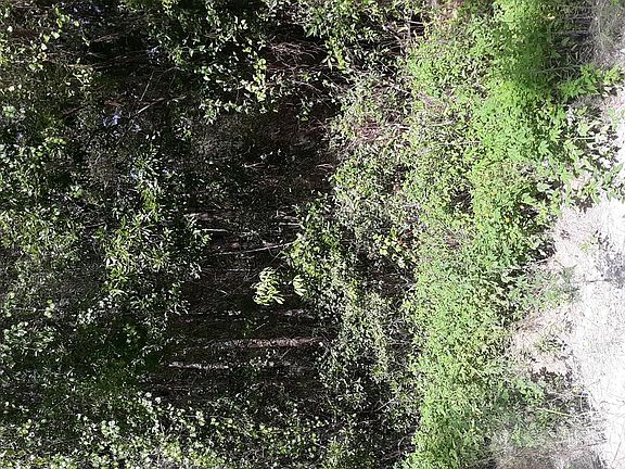 4th image of Lot 190 NE 821st St