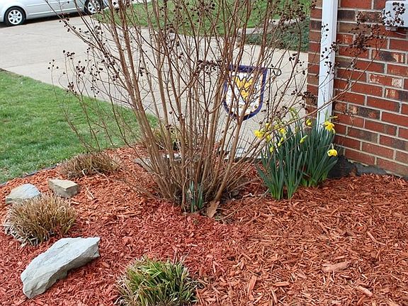 A preview of Spring.