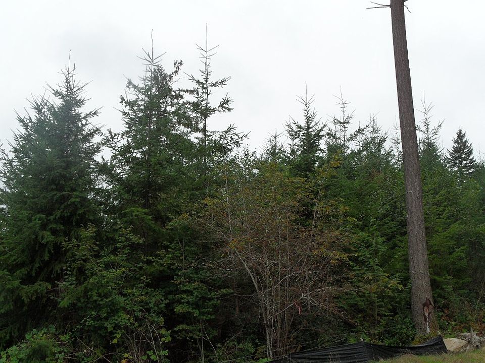 2nd image of 0 Lots 100 & 101 Masterson