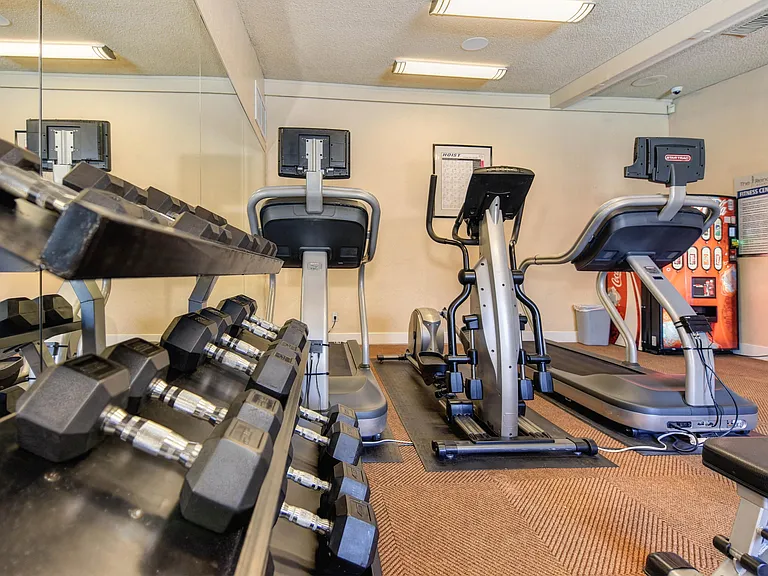 Free Weights In The Fitness Center