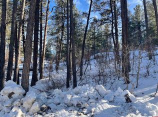 296 Ute Ln, Pagosa Springs, CO 81147
