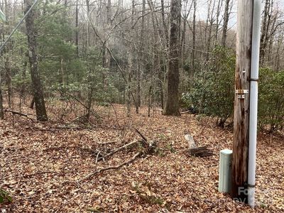 999 Panther Gap Rd, Brevard, NC, 28712