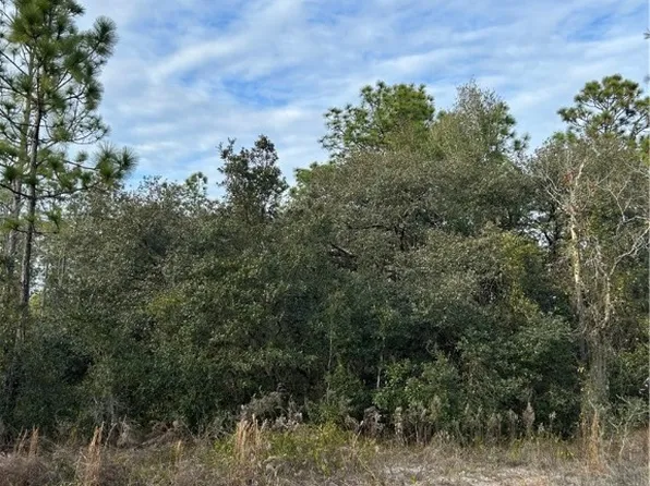 SW Huckleberry Ln, Dunnellon, FL 34431