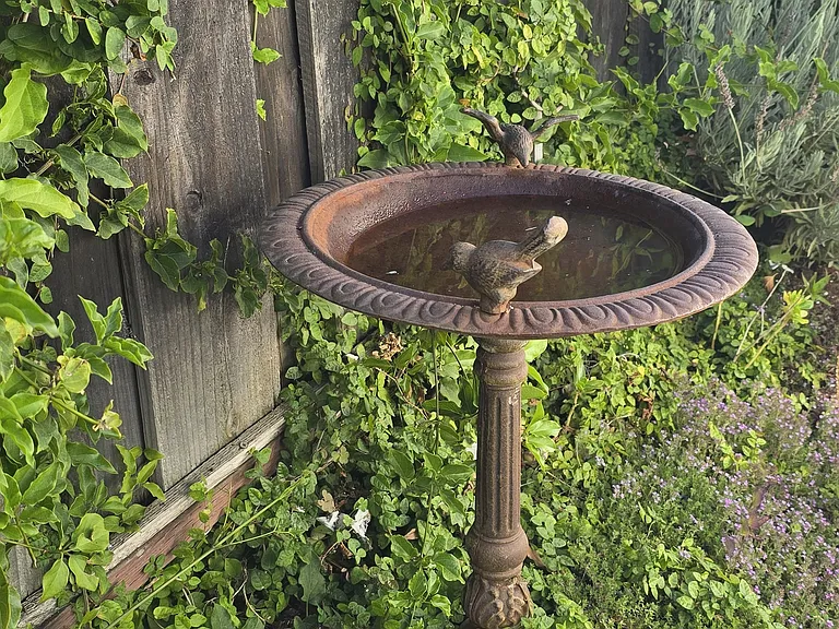 Garden views. Monthly gardening services included in rent.