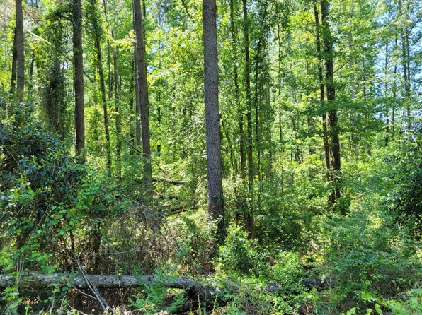Cooper St, Denmark, SC 29042