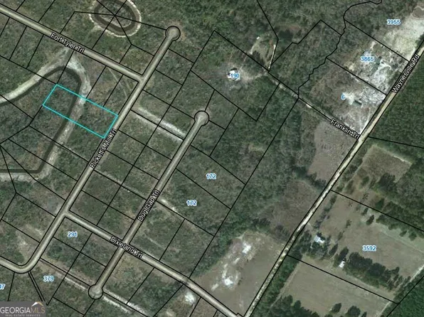 80 Picketts Mill Trl, Waynesville, GA 31566