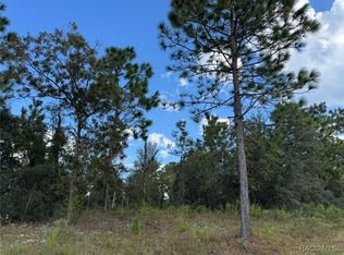 6717 N Libby Ter, Citrus Springs, FL 34433
