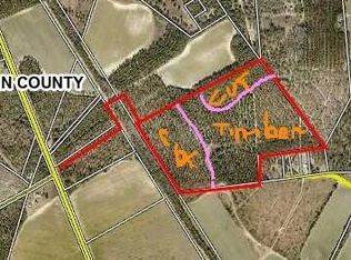 87 Charleston St, Williston, SC 29853