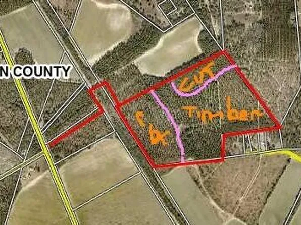 87 Charleston St, Williston, SC 29853