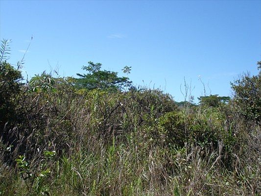 2nd image of 3rd Ave Lot 1392