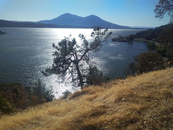Nearby view from Widgeon Way