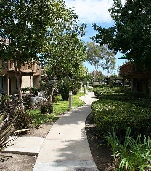 169 Lemon Grv — Photo 18