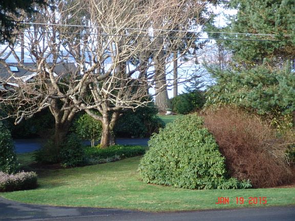 2nd image of 28920 Beach Dr NE