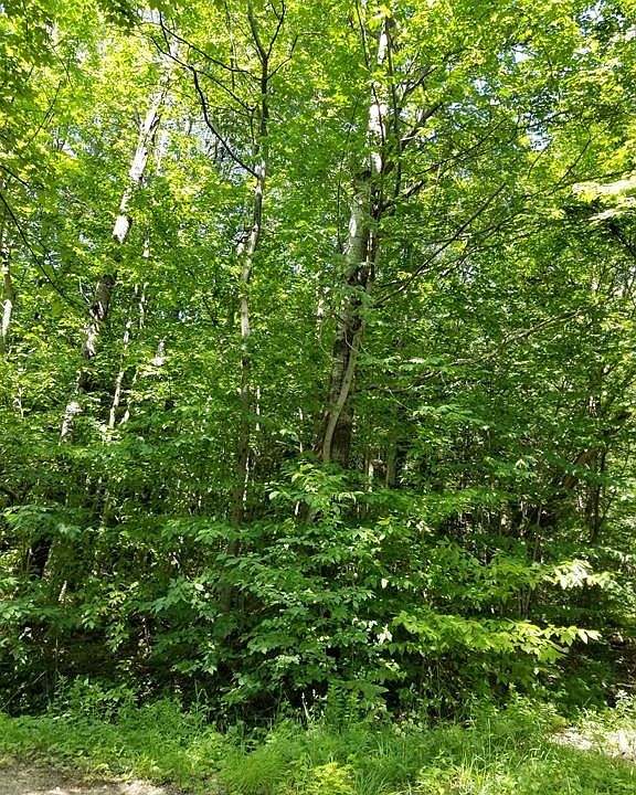 2nd image of 816 Lovers Lane Rd