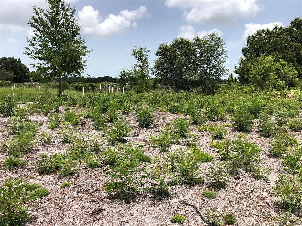 1st image of DUCK KEY STREET LOT 332